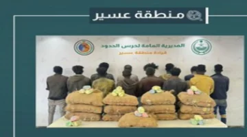 إحباط تهريب 375 كجم قات بعسير وجازان والقبض على 17 مخالفًا